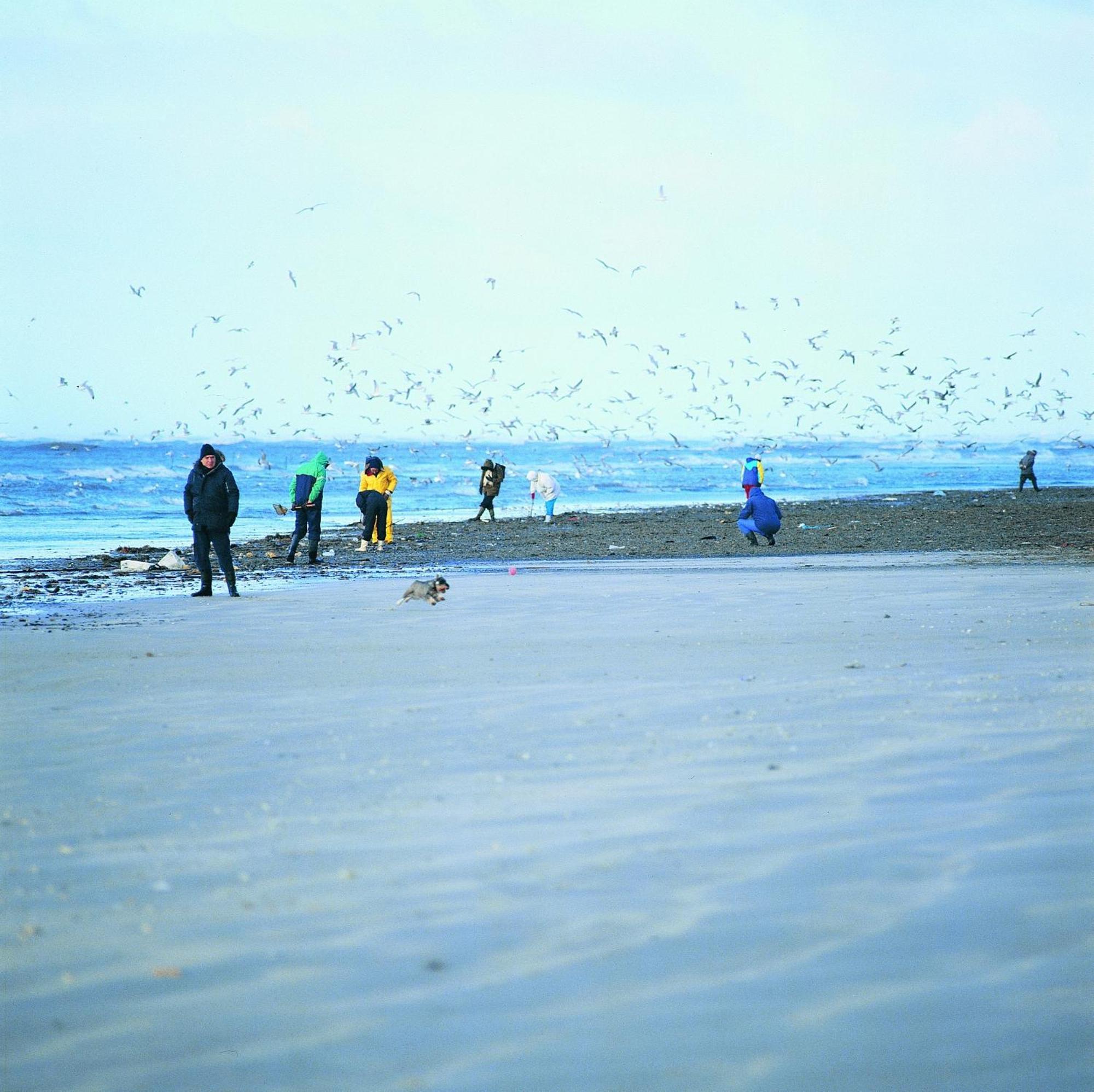 Vejers Family Camping & Cottages المظهر الخارجي الصورة